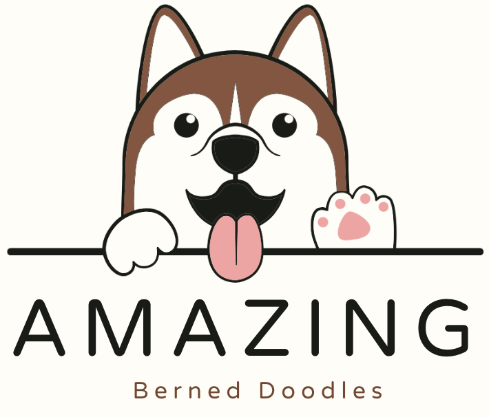 Amazing Berneddoodles